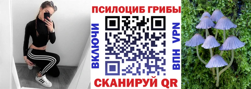Псилоцибиновые грибы мицелий  Шимановск 